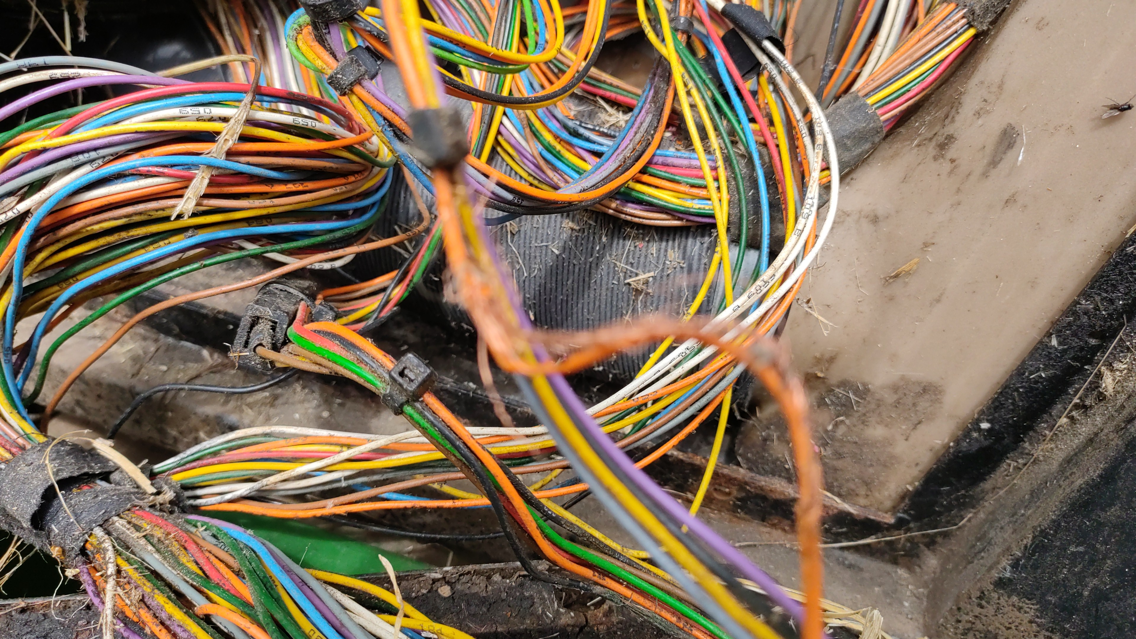 faisceau électrique endommagé